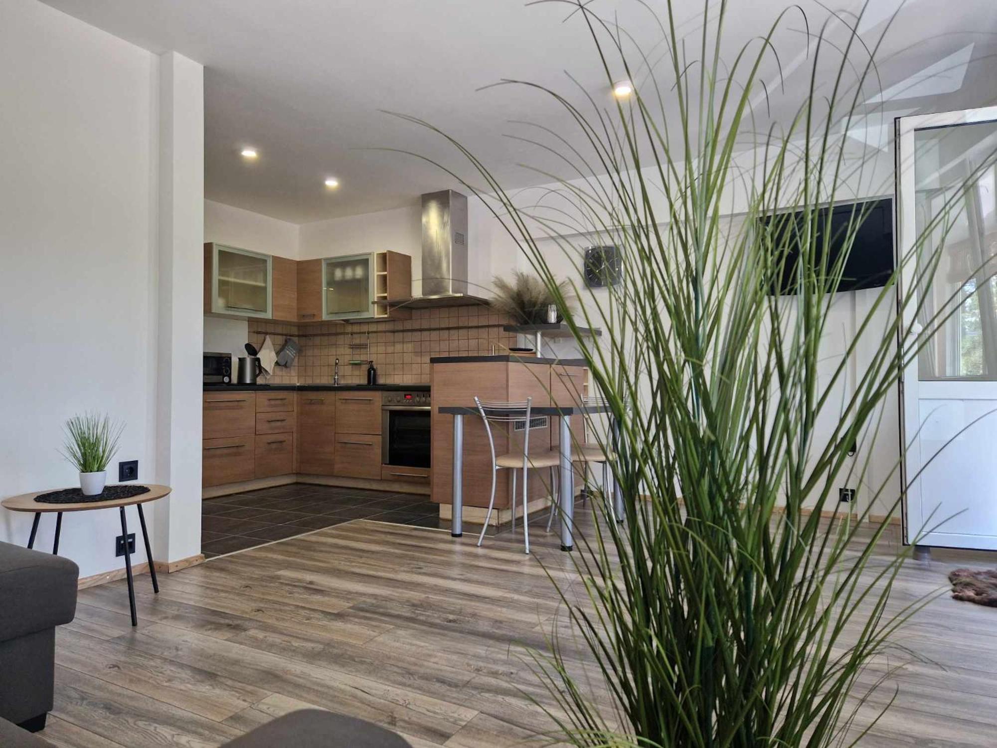 Duplex Apartment Vilte Ντρουσκινινκάι Εξωτερικό φωτογραφία